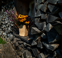 fileadmin/roha/images_galerie/Baum-natur-garten/Haus-Blumenschmuck-Deko/LANDA-FENST-AU-0008-D-roha-Landart-Fenster-Holzlege-Au.png