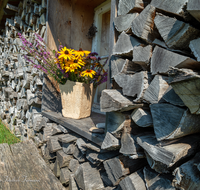 fileadmin/roha/images_galerie/Baum-natur-garten/Haus-Blumenschmuck-Deko/LANDA-FENST-AU-0008-D-roha-Landart-Fenster-Holzlege-Au.png