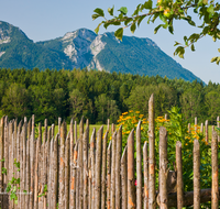 fileadmin/roha/images_galerie/Zaun-Bank/LANDA-ZAUN-INZ-HOLZ-0004-D-roha-Landart-Garten-Zaun-Inzell.png