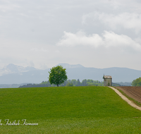 fileadmin/roha/images_galerie/orte_landschaft/Waging/LANDS-WAG-0010-D-roha-Landschaft-Waging-Taching-Fruehling-Kapelle-Weg.png