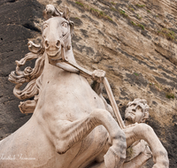 fileadmin/roha/images_galerie/orte_landschaft/Salzburg/Fassaden_und_Details/SA-PFERDESCHW-0012-D-roha-Salzburg-Pferdeschwemme-Pferd-Marmor.png