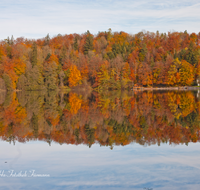 fileadmin/roha/images_galerie/orte_landschaft/Anger/Hoeglwoerth/AN-HOE-HERB-0003-D-roha-Anger-Hoeglwoerth-See-Herbst-Wald-Schwimmbad.png