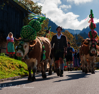 fileadmin/roha/images_galerie/brauchtum/Almabtrieb/Almabtrieb-Wasserfallalm/BR-ALMAB-BGD-OB-SLUZ-00144-D-roha-Almabtrieb-Berchtesgaden-Wasserfallalm-Obersulzberglehen-Fuikl-Senner.png