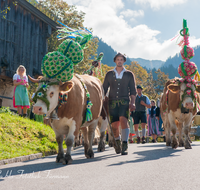 fileadmin/roha/images_galerie/brauchtum/Almabtrieb/Almabtrieb-Wasserfallalm/BR-ALMAB-BGD-OB-SLUZ-00144-D-roha-Almabtrieb-Berchtesgaden-Wasserfallalm-Obersulzberglehen-Fuikl-Senner.png