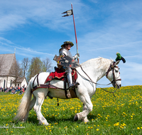 fileadmin/roha/images_galerie/brauchtum/Leonhardiritt/Traunstein-Georgiritt/BR-PFRI-TRAUNST-2019-0952-20-D-M-roha-Brauchtum-Pferdeumritt-Georgiritt-Traunstein-Lindl-Ettendorfer-Kircherl.png