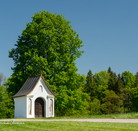 fileadmin/roha/images_galerie/kirche_religion/Saaldorf/KKKM-SAAL-ABTS-0005-01-D-roha-Kapelle-Steinbruenning-Abtsdorf-Saaldorf.png