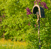 fileadmin/roha/images_galerie/kirche_religion/Weildorf/KKKM-WEIL-UNTERH-0008-D-roha-Wegkreuz-Weildorf-Unterholzen-Blumenwiese-Flieder.png