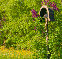 fileadmin/roha/images_galerie/kirche_religion/Weildorf/KKKM-WEIL-UNTERH-0008-D-roha-Wegkreuz-Weildorf-Unterholzen-Blumenwiese-Flieder.png