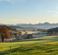 fileadmin/roha/images_galerie/stimmung-Sonne/SO-AU-SURT-0023-0807-D-roha-Sonnenaufgang-Surtal-Teisendorf-Oberteisendorf.png