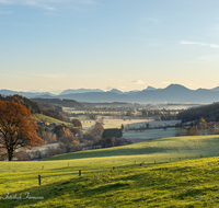 fileadmin/roha/images_galerie/stimmung-Sonne/SO-AU-SURT-0023-0807-D-roha-Sonnenaufgang-Surtal-Teisendorf-Oberteisendorf.png