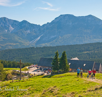 fileadmin/roha/reportagen/Stoisseralm-90-Jahr-Jubilaeum-12-2018/TEI-STO-WAN-0005-D-roha-Teisendorf-Anger-Stoisser-Alm-Wandern-Hochstaufen-Zwiesel.png