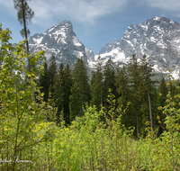 fileadmin/roha/images_galerie/orte_landschaft/Berchtesgaden/Watzmann/BGD-WATZ-0027-0-10-D-roha-Berchtesgaden-Watzmann-Gipfel-Fruehling.png