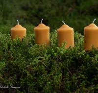 fileadmin/roha/images_galerie/brauchtum/Weihnachten/BR-WEIH-KERZE-AD-01-1547-D-roha-Brauchtum-Weihnachten-Advent-Vier-Kerzen-Moos.png