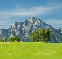 fileadmin/roha/images_galerie/orte_landschaft/Anger/Anger/Anger-Landschaft/LANDS-ANG-HINTERN-0001-D-roha-Landschaft-Anger-Hochstaufen-Kuh-Weide-Hinternau.png