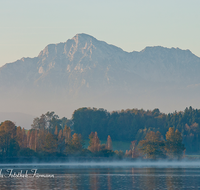 fileadmin/roha/images_galerie/orte_landschaft/Abtsdorf-Abtsdorfer-See/ABTS-SEE-STIM-0006-D-roha-Abtsdorfer-See-Ufer-Herbst-Stimmung-Abtsdorf-Hochstaufen.png