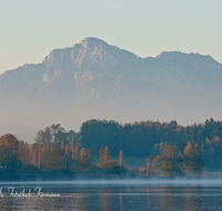 fileadmin/roha/images_galerie/orte_landschaft/Abtsdorf-Abtsdorfer-See/ABTS-SEE-STIM-0006-D-roha-Abtsdorfer-See-Ufer-Herbst-Stimmung-Abtsdorf-Hochstaufen.png