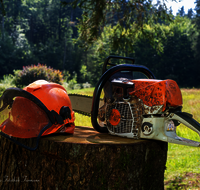 fileadmin/roha/images_galerie/Landwirtschaft/Forst-Holzknecht/HOLZKNE-0010-1-D-roha-Holzknecht-Motorsaege-Helm.png