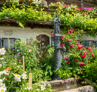 fileadmin/roha/images_galerie/Baum-natur-garten/Haus-Blumenschmuck-Deko/LANDA-BLUMENSCHM-PET-0001-10-D-roha-Landart-Blumenschmuck-Petting-Brunnen-Madonna.png