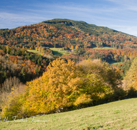 fileadmin/roha/images_galerie/Baum-natur-garten/Baeume/LANDS-ANG-HOEGLW-0005-D-roha-Landschaft-Anger-Hoeglwoerth-Teisenberg-Herbst-Wald.png