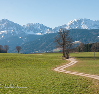 fileadmin/roha/images_galerie/orte_landschaft/Anger/Anger/Anger-Landschaft/LANDS-ANG-STEINH-0012-D-roha-Landschaft-Anger-Steinhoegl-Hochstaufen-Weg.png