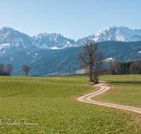 fileadmin/roha/images_galerie/orte_landschaft/Anger/Anger/Anger-Landschaft/LANDS-ANG-STEINH-0012-D-roha-Landschaft-Anger-Steinhoegl-Hochstaufen-Weg.png