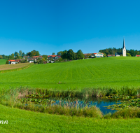 fileadmin/roha/images_galerie/orte_landschaft/Rimsting-Chiemsee/RIM-GREIMH-0004-P-D-roha-Rimsting-Greimharting-Weiher-Rohrkolben.png