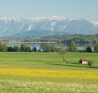 fileadmin/roha/images_galerie/orte_landschaft/Waging/WAG-SEE-WOLK-0006-D-roha-Waginger-See-Untersberg-Steinernes-Meer-Wasser.png