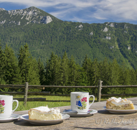 fileadmin/roha/images_galerie/Hintergrund-Download/1600x1200/INZ-BAECK-ALM-GAS-0001-D-roha-Inzell-Baeckeralm-Zwiesel-Zaun-Kaffee-Kuchen-Tasse.jpg