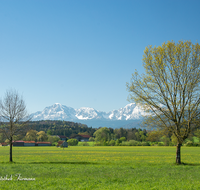 fileadmin/roha/images_galerie/orte_landschaft/Petting/LANDS-PET-0011-D-roha-Landschaft-Petting-Hochstaufen-Zwiesel-Fruehling.png