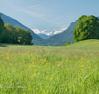 fileadmin/roha/images_galerie/orte_landschaft/Piding/LANDS-PID-SECHSH-0001-D-PS-roha-Landschaft-Piding-Sechshoegl-Steinernes-Meer-Blumenwiese.png