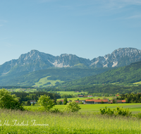 fileadmin/roha/images_galerie/orte_landschaft/Teisendorf/IN-LANDS-Teisendorf/LANDS-TEIS-WIM-0001-D-roha-Landschaft-Teisendorf-Wimmern-Sommer-Hochstaufen-Zwiesel-Getreide.png