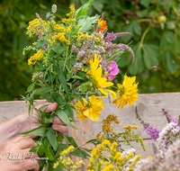 fileadmin/roha/images_galerie/brauchtum/Kraeuterbuschen/BR-KRAEUT-ANG-2018-0018-D-roha-Brauchtum-Kirche-Kraeuter-Buschen-binden-Blumen-Anger.png