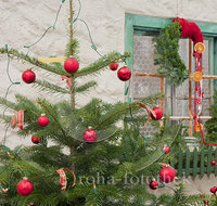 fileadmin/roha/images_galerie/Baum-natur-garten/Gaertnerei/LANDA-DEKO-WEIH-0006-D-roha-Landart-Deko-Weihnachten-Gaertnerei-Christbaum.jpg