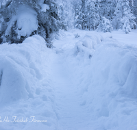 fileadmin/roha/images_galerie/wege/WEGE-WINT-FRIL-0001-D-roha-Weg-Winter-Frillensee-Inzell-Schnee-Wald.png