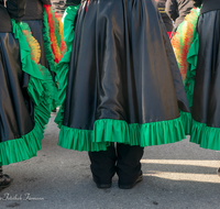 fileadmin/roha/images_galerie/brauchtum/Fasching/BR-FASCHI-PO-ZU-2015-1430-01-D-roha-Brauchtum-Fasching-Zug-Teisendorf.png