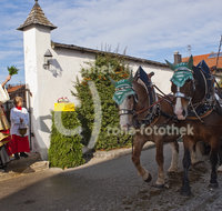 fileadmin/roha/images_galerie/brauchtum/Leonhardiritt/St_Leonhard-Wonneberg/BR-PFRI-WONNE-0077-D-roha-Brauchtum-Pferdeumritt-Wonneberg-St-Leonhard-Pferd-Pfarrer-Segen.jpg