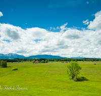 fileadmin/roha/images_galerie/orte_landschaft/Haarmoos/HAARM-0051-D-roha-Abtsdorf-Laufen-Haarmoos-Stadel-Hochstaufen-Zwiesel-Teisenberg.png