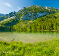 fileadmin/roha/images_galerie/orte_landschaft/Inzell/INZ-FRILL-0029-D-roha-Inzell-Frillensee-Zwiesel-Biotop-Naturschutz-Wasser-See.png