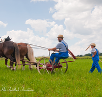 fileadmin/roha/images_galerie/brauchtum/Leonhardiritt/Holzhausen_01/Kaltblutfest/BR-PFRI-HOLZ-KALTBL-0001-7-D-roha-Brauchtum-Kaltblut-Pferd-Fest-Arbeit-Holzhausen-Maehwerk.png