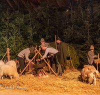 fileadmin/roha/images_galerie/orte_landschaft/Bad_Reichenhall_-_Stallweihnacht/BR-WEIH-STALL-2019-2028-03-D-roha-Brauchtum-Weihnachten-Krippe-Stall-Weihnacht-Bad-Reichenhall-Hirten.png