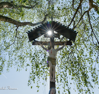 fileadmin/roha/images_galerie/stimmung-Sonne/KKKM-SAAL-ABTS-0001-3-D-M-roha-Wegkreuz-Abtsdorf-Saaldorf-Sonne-Birke.png