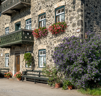 fileadmin/roha/images_galerie/Baum-natur-garten/Haus-Blumenschmuck-Deko/LANDA-BLUMENSCHM-UFERING-0030-20-D-roha-Landart-Blumenschmuck-Bauernhaus-Enzianbaum.png