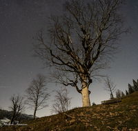 fileadmin/roha/images_galerie/orte_landschaft/Berchtesgaden/Ramsau/LANDS-HIM-NA-STE-0006-D-roha-Landschaft-Himmel-Nacht-Sterne-Hochschwarzeck.png