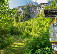 fileadmin/roha/images_galerie/orte_landschaft/Piding/PID-HOCHST-KL-0001-D-roha-Piding-Hochstaufen-Klettersteig.png