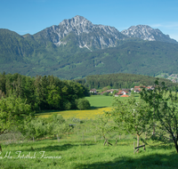 fileadmin/roha/images_galerie/orte_landschaft/Piding/PID-SECHSH-0007-D-roha-Piding-Sechshoegl-Obstgarten-Hochstaufen-Zwiesel.png