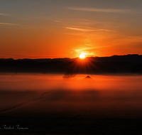 fileadmin/roha/images_galerie/stimmung-Sonne/Sonnenaufgang/SO-AU-HAARM-0030-0514-03-D-roha-Sonne-Sonnenaufgang-Haarmoos-Nebel..png