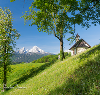 fileadmin/roha/images_galerie/orte_landschaft/Berchtesgaden/Kirchleitnkapelle/BGD-KIRCHL-KAP-0040-D-roha-Berchtesgaden-Kirchleitn-Kapelle-Fruehling-Watzmann.png