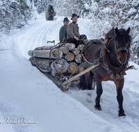 fileadmin/roha/images_galerie/Landwirtschaft/Forst-Holzknecht/HOLZKNE-HAM-PFERD-0015-1416-00519-D-roha-Holzknecht-Pferd-Schlitten-Winter-Siegsdorf-Hammer-Winterzug.png