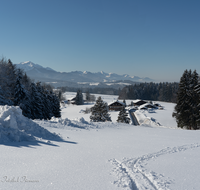 fileadmin/roha/images_galerie/orte_landschaft/Siegsdorf/LANDS-CHIE-BER-WI-0005-D-roha-Landschaft-Neukirchen-Winter-Chiemgauer-Berge.png