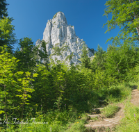 fileadmin/roha/images_galerie/orte_landschaft/Ruhpolding/RUH-HOERNDL-0004-D-roha-Ruhpolding-Hoerndlwand-Weg.png